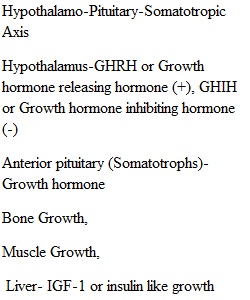 HW1- Endocrine Axis